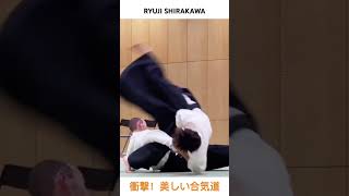 【Amazing】Special Aikido [upl. by Lattie895]