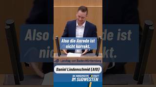 Wie mans macht macht mans falsch  Daniel Lindenschmid AfD [upl. by Rafiq]