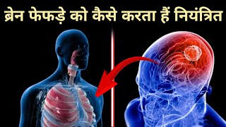 मस्तिष्क सांस लेने की क्रिया को कैसे कंट्रोल करता है  regulation of breathing [upl. by Lowe]