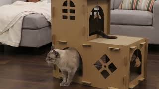 Furhaven Cat Scratchers with Catnip  Tiger Tough MultiLevel Cat House Scratcher Playgrounds [upl. by Radek]