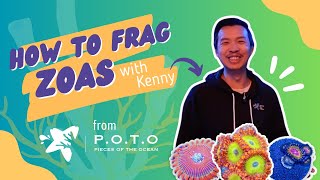 Kenny from Pieces of the Ocean shows us how he frags zoas zoanthids [upl. by Cantu660]