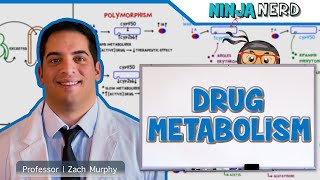 Pharmacokinetics  Drug Metabolism [upl. by Carmina]