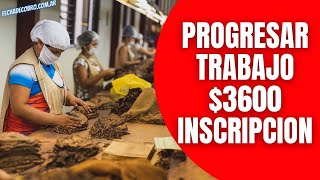 Progresar Trabajo hasta 40 años ¿Como Cobrar los  3600 del reemplazo del IFE [upl. by Aseel374]