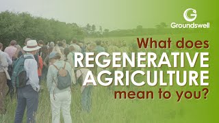 What does Regenerative Agriculture mean to you  Groundswell 2023 [upl. by Roice]