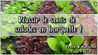 Astuces  Semis facile de salades à planter en 30j godets ou terre au jardin potager en Permaculture [upl. by Natka651]