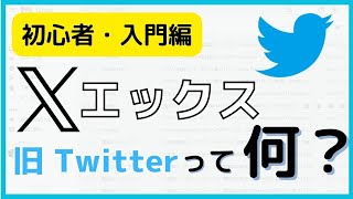 X（エックス）ツイッター初心者入門講座！簡単にわかりやすく解説！メリット・デメリットも [upl. by Asseram543]