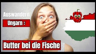 Auswanderung steht bevor  Zweifel kurz vor dem Start   Life Update [upl. by Fabiola194]