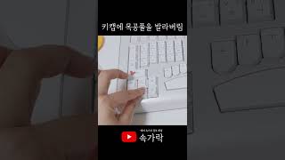 키캡 꾸미기 진심인 자는 목공풀을 발라버렸다 [upl. by Marjy]