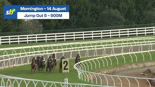 Jump Out 5  Mornington  14 August [upl. by Flynn334]