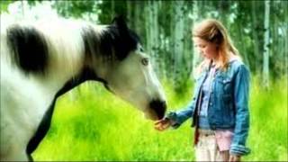 My Top 10 Favorite Horse Movies [upl. by Megan]