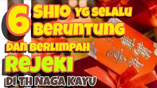 6 SHIO yg selalu BERUNTUNG amp berlimpah REJEKI di th NAGA KAYU [upl. by Merilyn212]