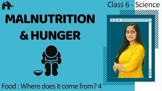 Class 6 Science Chapter 2  Nutrients Carbohydrates Proteins amp Fats  Components of Food [upl. by Aihsak]