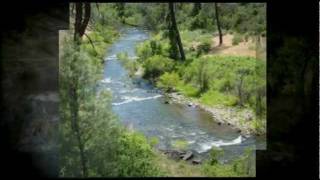 40 Acres Shasta County Land For Sale Near Redding CA In The Trinity Alps Preserve IGO CA [upl. by Eitac]