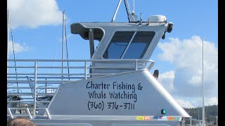 Majestic Whale Watching Tour from Anacortes WA to Victoria Canada and back [upl. by Itagaki717]