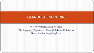 Glandula Endocrine [upl. by Anahir]