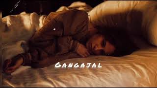 Gangajal Slowed Reverb Lofi songs [upl. by Gamber333]