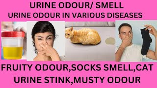 URINE ODOURURINE SMELLFRUITY URINE SMELLMUSTY SMELL URINEMOUSE PEE SMELLCAT URINE SMELL [upl. by Odlaniger]