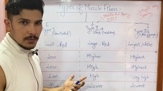 Types of muscle fibers made easy  Fast Twitch and Slow Twitch [upl. by Jenilee]