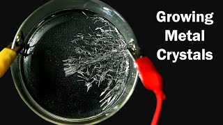 How to grow Tin Crystals [upl. by Akirdna334]