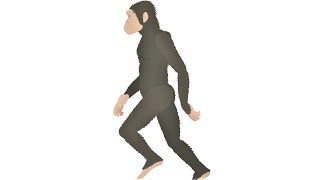 Australopithecus  WalkCycle and RunCycle  Pivot Animator [upl. by Onibag233]