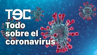 Todo sobre el coronavirus [upl. by Ayvid831]