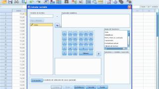 SPSS 19 Prueba de hipótesis para la diferencia de medias caso 2 [upl. by Natam96]