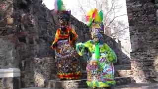 CARNAVAL YAUTEPEC 2015 CHINELOS [upl. by Egdamlat]