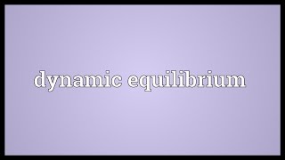 Dynamic equilibrium Meaning [upl. by Milissent]