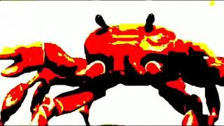 Crab rave earrape 1 hour edition [upl. by Chin]