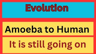 Evolution  Amoeba to Human  evolution of Human [upl. by Wehner]