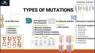 Mutations And Types Of Mutations [upl. by Imuy]