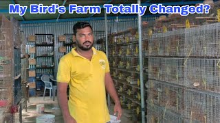 My Birds Farm Totally Changed 150 Pair Finches Cage Working Process [upl. by Tletski552]