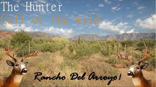 Rancho Del Arroyo QUICK Whitetail Deer Guide 😎 [upl. by Judie]