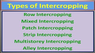 Types of Intercropping [upl. by Ddarb497]