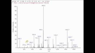 MSMS peptide Sequencing real time [upl. by Yenitirb866]