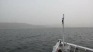 Sturm auf dem Bodensee Schifffahrt auf dem Bodensee Anlegenanöver und vieles mehr [upl. by Suivat]