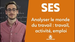 Analyser le monde du travail  travail activité et emploi  SES  Terminale  Les Bons Profs [upl. by Hsirrap]