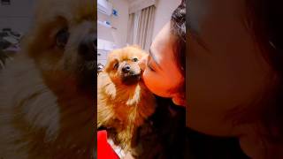 Rimorav Vlogs Fudge Cute Edits  Rimorav Vlogs shorts puneetsuperstar [upl. by Sugden]