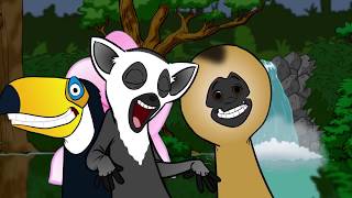 Educational RAINFOREST Song for KIDS Learn wild animals  ABC videos [upl. by Calica]