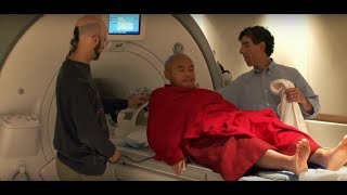 Meditations Impact on the Brain  Documentary Clip [upl. by Agace]