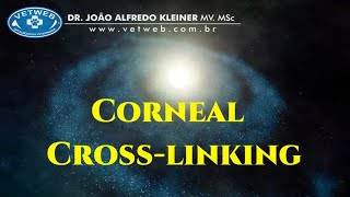 Corneal Crosslinking in Veterinary Ophthalmology [upl. by Brill630]