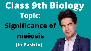 Significance of meiosis  9 biology in pashto  Cha 5  Home of biology [upl. by Sager]