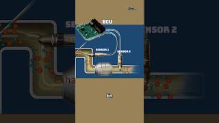 ¿Cuál es el sensor antes y después del catalizador ¡Descúbrelo Aquí te lo explicamos sensors [upl. by Aloysius317]