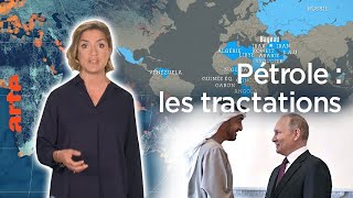 Pétrole  tractations géopolitiques – Le Dessous des cartes – L’Essentiel  ARTE [upl. by Gala]