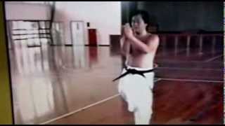 IWAO YOSHIOKA  Karate Do 5 [upl. by Ellac]