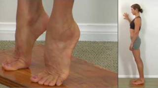 372 Ankle Everters Fibularis Longus Strengthening [upl. by Pennington319]