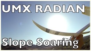 Kite Hill Slope Soaring UMX Radian [upl. by Irrac]