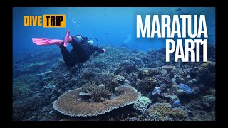 VLOG  DIVE TRIP  Maratua East Borneo Indonesia  Part 1 [upl. by Annoirb]