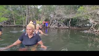 CHACACHACARE SALT LAKEPOND TRINIDAD 🇹🇹 [upl. by Bille]