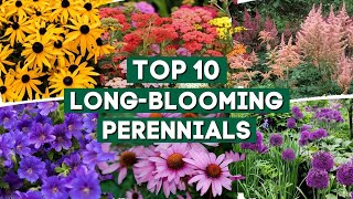 10 Long Blooming Perennials for a Colorful Garden 👌🌿💚  PlantDo Home amp Garden 🍃 [upl. by Salahcin682]